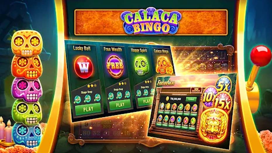 Calaca Bingo_s Eye-Catching Characteristics Lodi646