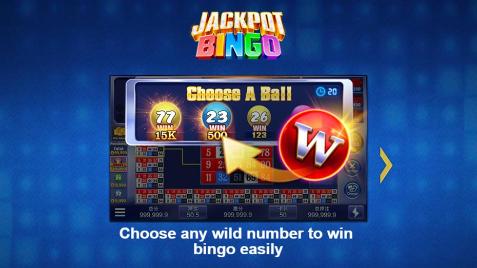 What is Jackpot Bingo Lodi646